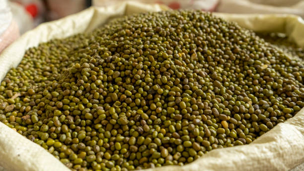 The Matel International - WhatsApp Image 2025-09-29 at 10.23.47 AM (2)